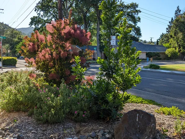 995 W Perkins St APT 3, Ukiah, CA 95482