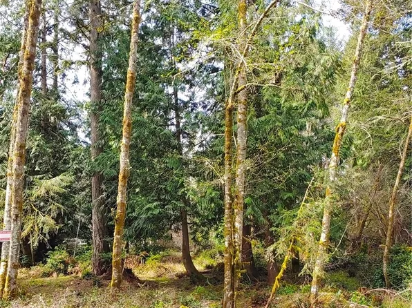 10114 Selma Circle, Anderson Island, WA 98303