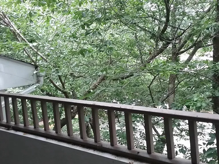 7700 Lafayette Forest Dr #31 — Photo 13