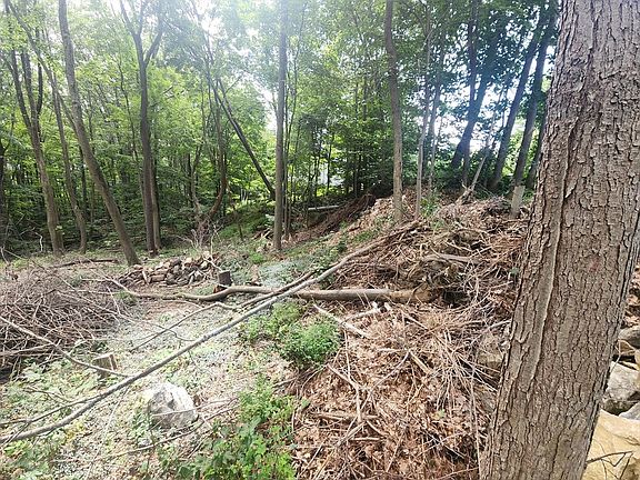 3rd image of 0 Crestwood Dr