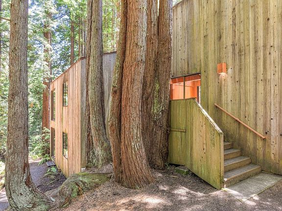 2nd image of 36722 Timber Ridge Road