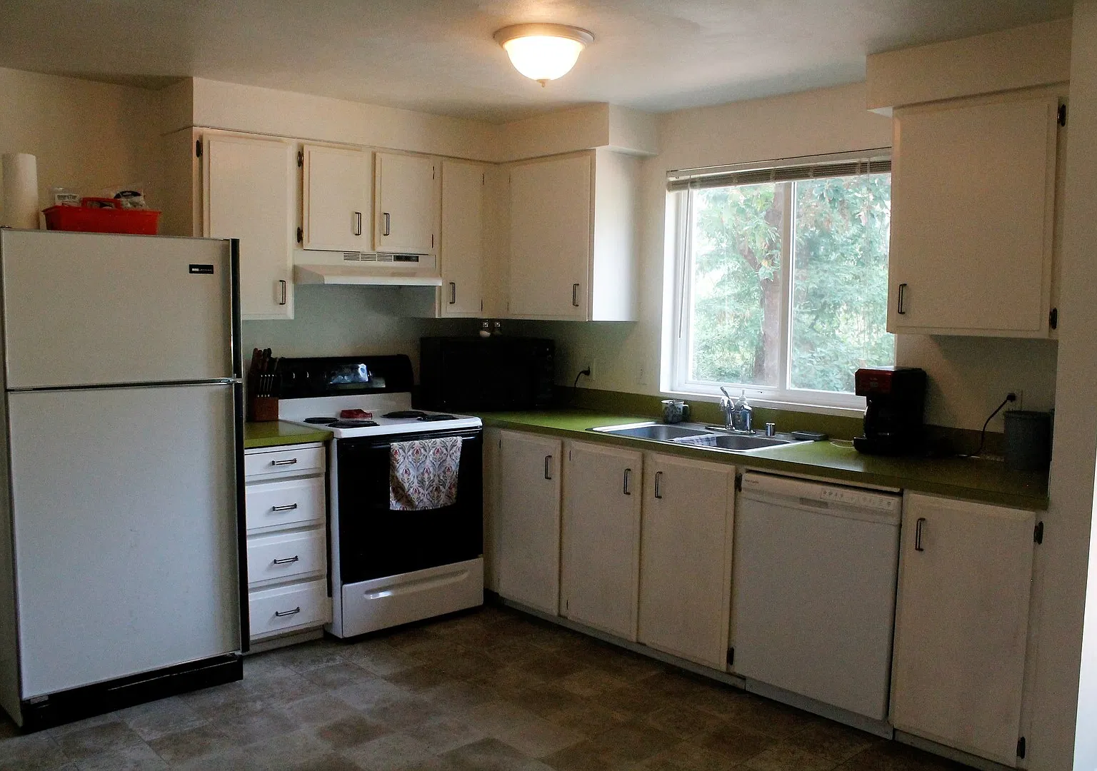 Conifer Park Three Bedroom for Rent! Available Now! Huge, Fully Fenced Yard! — Photo 4