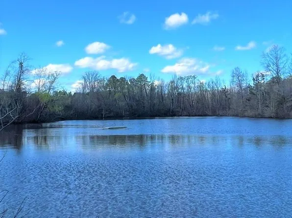 0 Attala County Rd #4167, Sallis, MS 39160