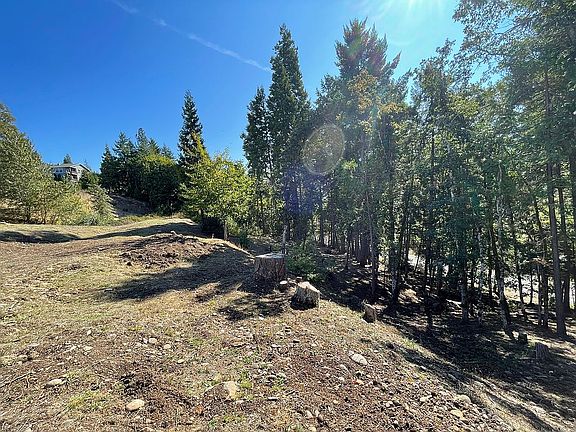 5th image of 446 Pacific Crest Way