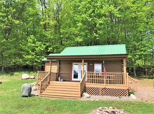11671 Lakeview Dr #6, Butternut, WI 54514