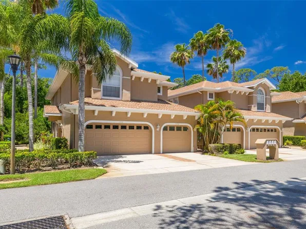 4226 Preserve Pl, Palm Harbor, FL 34685