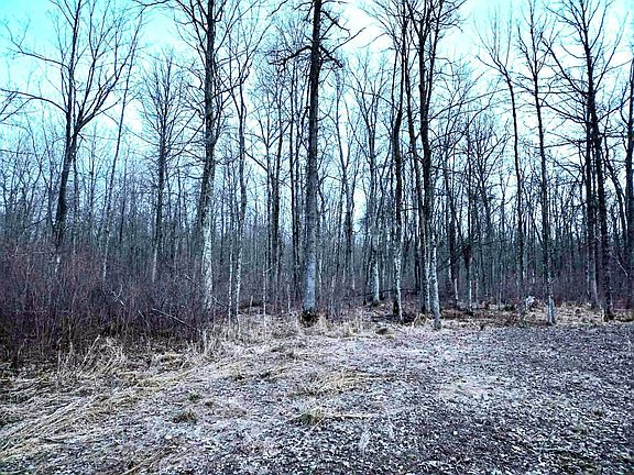 4th image of 194X Old Creamery Rd