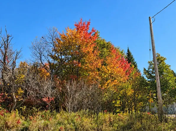 V/l 69ac E West Branch Rd, Saint Helen, MI 48656