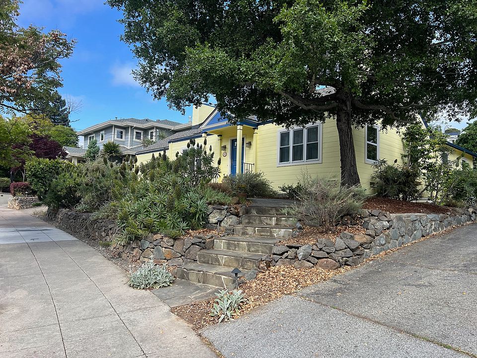Open front entry with native plants and large oak that birds enjoy