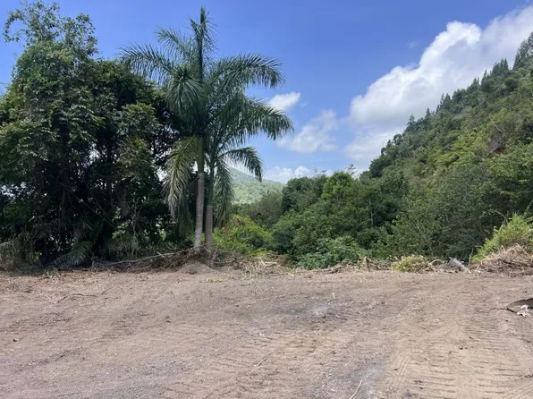 State Highway 5525 Km #1.3, Adjuntas, PR 00601