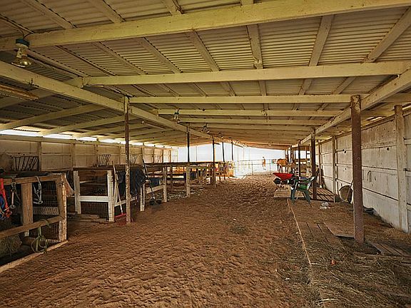 12 Stall barn w/electric and water, plus an area to store hay or feed
