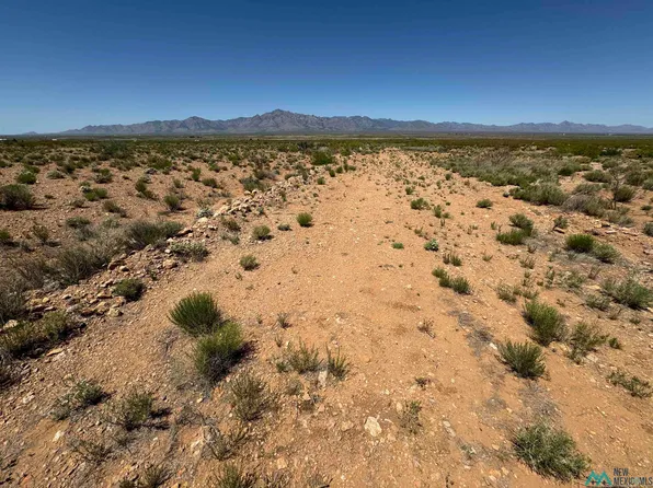 Yucca Lane Rd, Rodeo, NM 88056