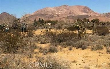 2nd image of 7494 Mojave Tropico Rd