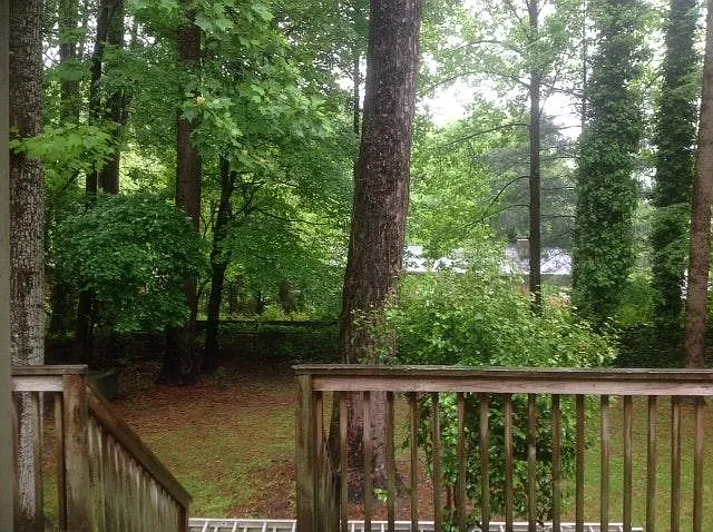 Back yard - 5008 Simmons Branch Trl