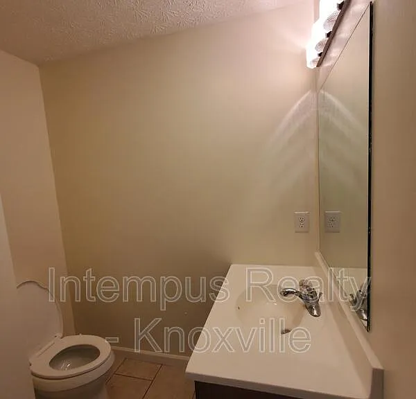 306 Joshua Landing Ct — Photo 16