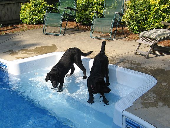 swimming pool