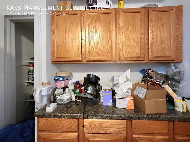 4747 N Damen Ave #3A — Photo 3