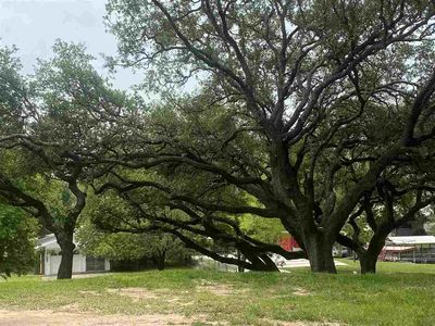 LOT 64 Cherokee Trl, Kingsland, TX, 78639