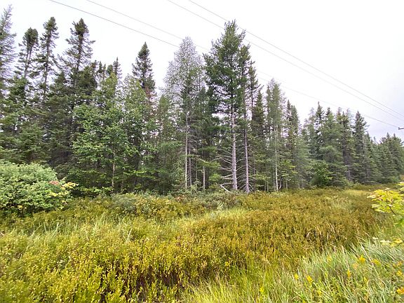 2nd image of 11401 N Whitefish Point Rd
