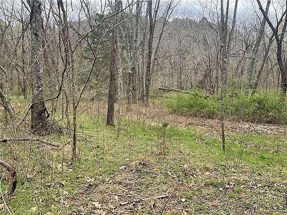 2nd image of Scotsdale Dr #3