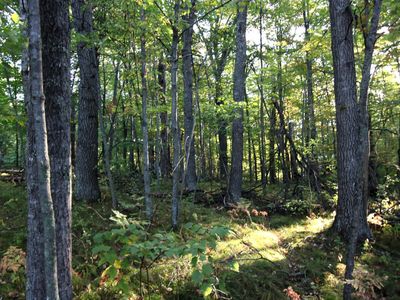 L24 B2 Wb16 Scenic Overlook Dr, Pequot Lakes, MN, 56472