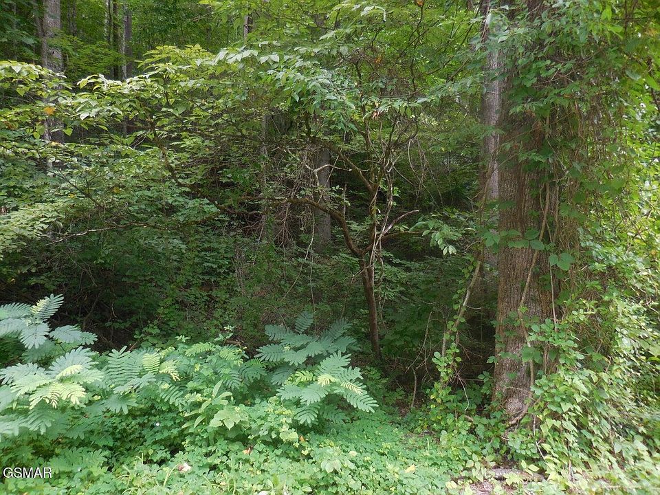 2nd image of LOT 1 Hidden Valley Rd