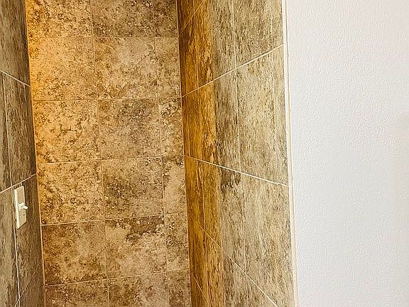 Walk-in shower in master