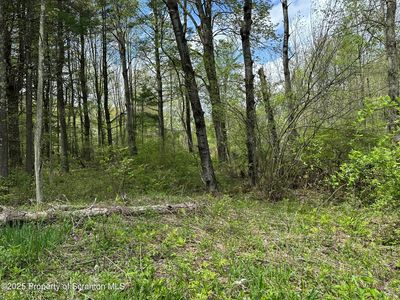 996 Rosengrant Rd, Lake Ariel, PA, 18436