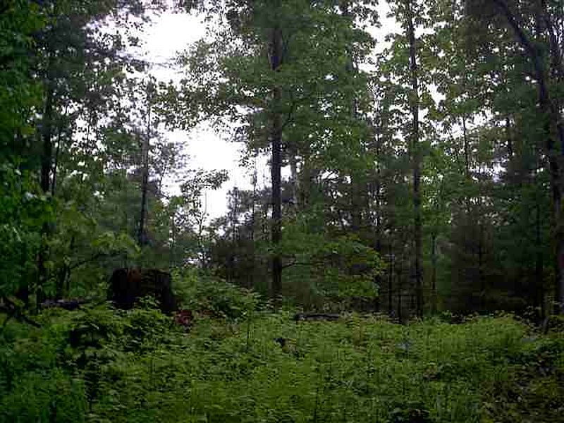 4th image of 0 E HONEY HOLLOW Road