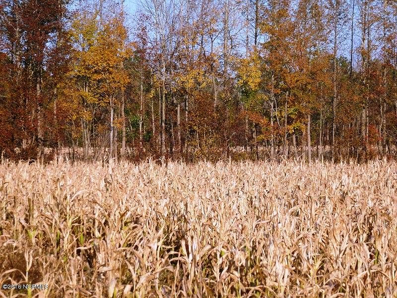 1st image of 75 Acres Texan Drive