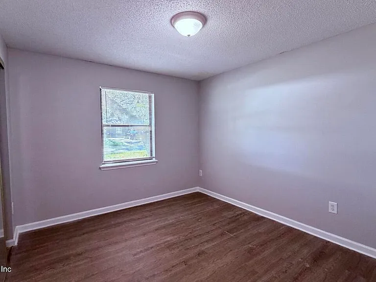 4711 Cinnamon Fern Dr — Photo 19