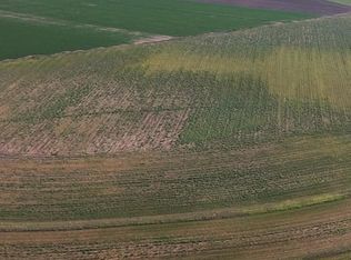 Wilson Farms, Wilson, TX 79381