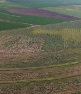 Wilson Farms, Wilson, TX, 79381