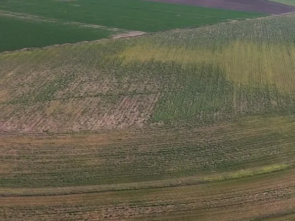 Wilson Farms, Wilson, TX 79381