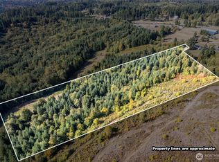 0 Lot 7 Spirit Lake Parcel WK3612009 Highway, Castle Rock, WA 98611