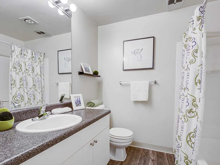 The Hamptons at Town Center Apartment Homes — Photo 10