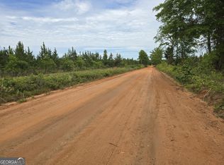 35 Beckwith Rd, Ellaville, GA 31806