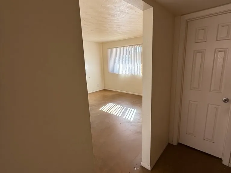 2024 S Mill Ave #1 — Photo 7