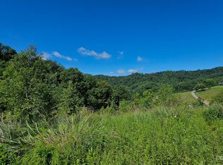 310 E Bee Tree Rd, Marshall, NC 28753