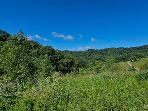 310 E Bee Tree Rd, Marshall, NC 28753