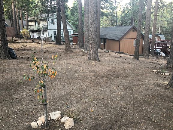 Back of the property looking towards house