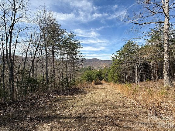 4th image of 165 Pinegrove Dr
