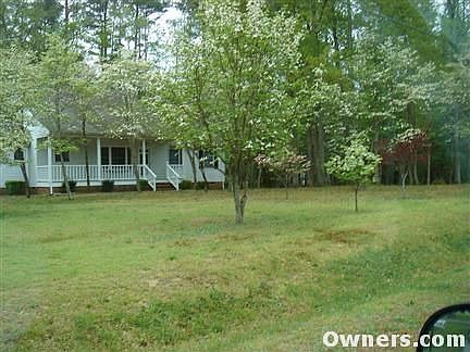 Beautiful dogwoods in the spring