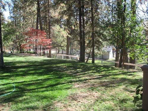 2nd image of 1801 Hidden Valley Ln