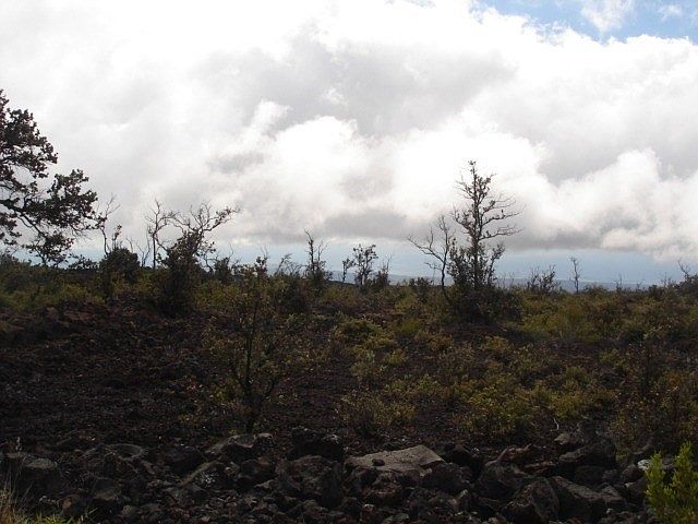 2nd image of Kailua Blvd Lot 4