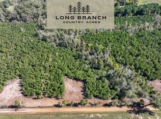 5 County Road 3121, Long Branch, TX 75669