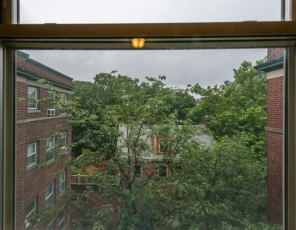 52 Garden St — Photo 3