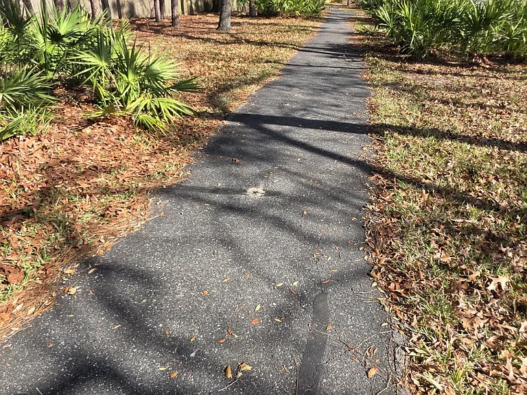 Walking/running/biking trail from the back of the property