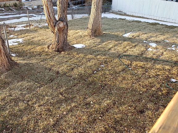 3rd image of 1342 Uinta St