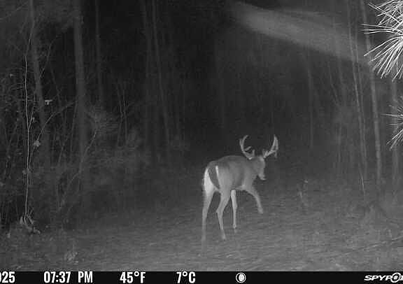 3rd image of Carlisle Gap Rd